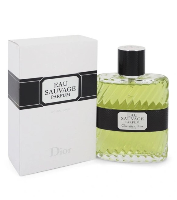 Christian Dior Perfume for Men